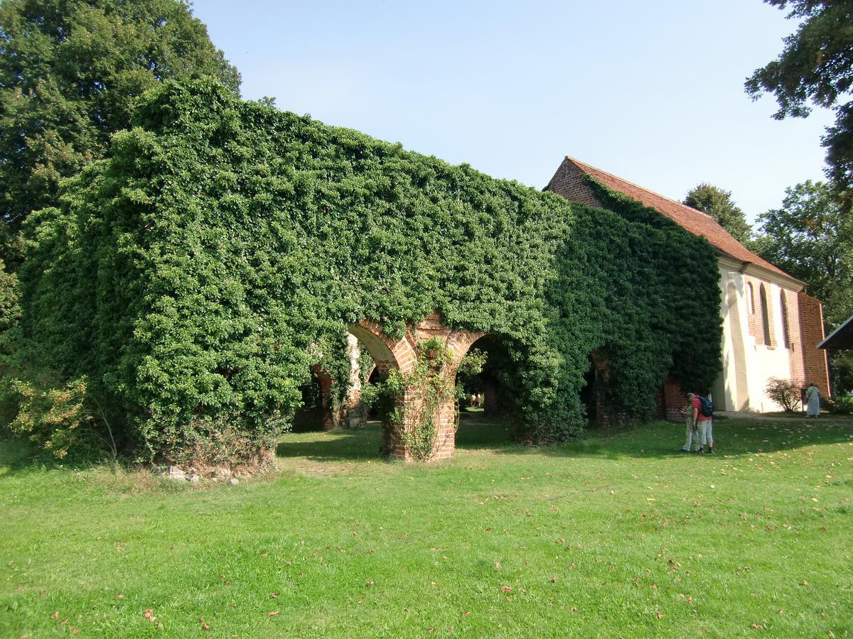 Hotel Zum Birkenhof Stechlin