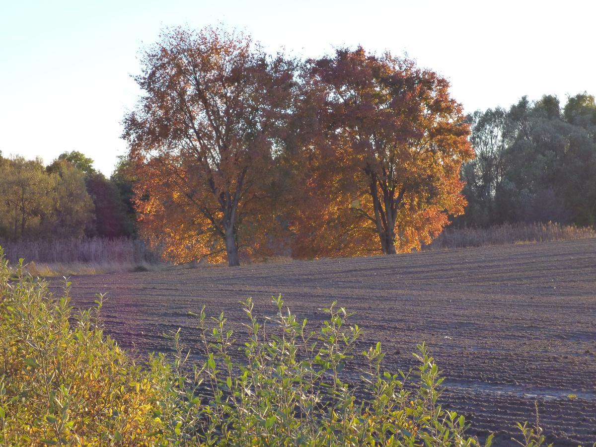 Zum Birkenhof 3* Stechlin